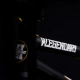 THE WELEGENDARY X GT PERFORMER BMX